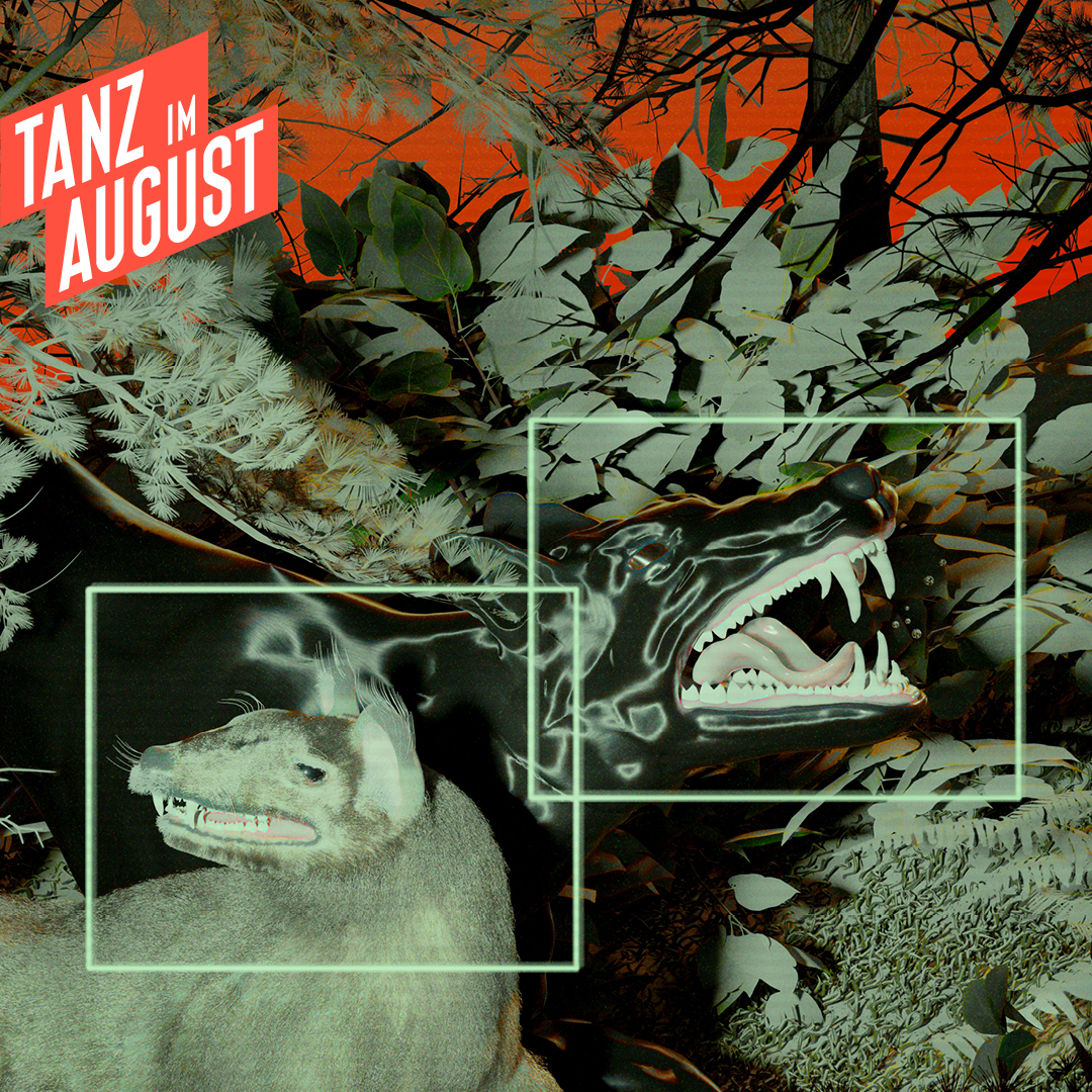 Tanz im August Instagram